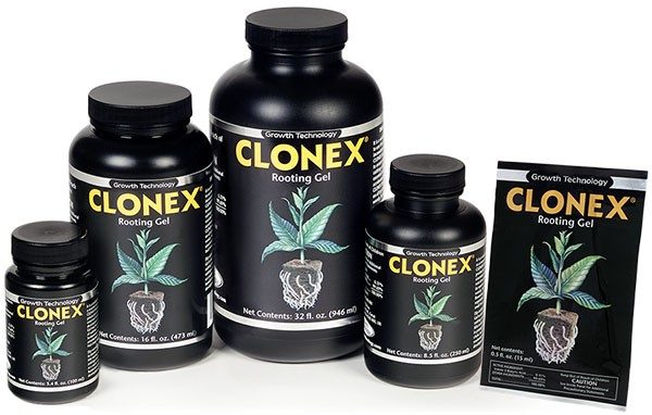 clonex rooting gel